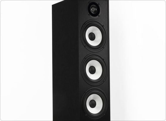 Pylon Audio Pearl 27 Limitowana wersja - cecha 1